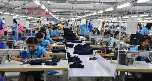 復工核查背后的挑戰(zhàn) 工廠倒閉潮與移民咨詢服務的興起